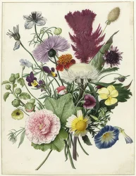 花束。 1680