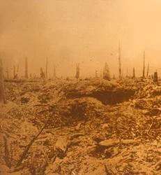 Bois du Chapitre、ヴォー、北フランス、c1914-c1918