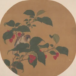 木の枝。