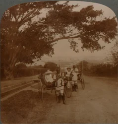 居住道路、南アフリカ、ダーバンの原住民によって描かれたタクシー、c1900