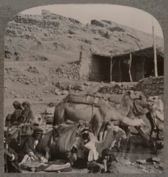 エリシャの噴水で水をまくジェラシュからのラクダ列車、c1900