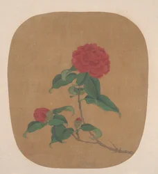 椿の花。