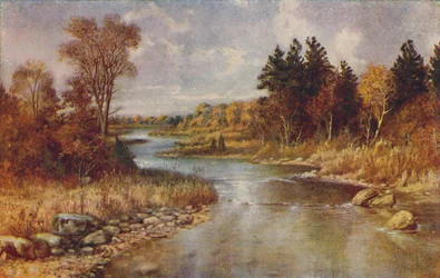 カナダの森の風景、1924