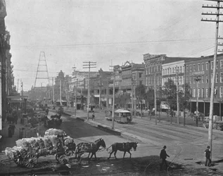 カナルストリート、ニューオーリンズ、ルイジアナ、米国、c1900。