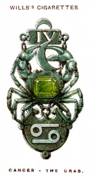 蟹座、蟹、1923