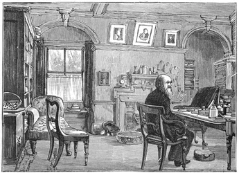 チャールズダーウィン、イギリスの博物学者、彼の研究、c1870 1887