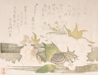 桜とカタツムリ、1816年。