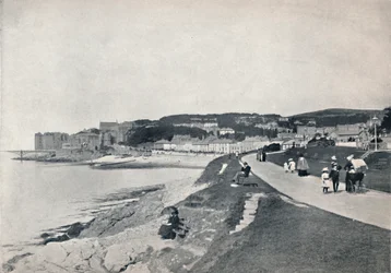 クリーブドン-グリーンビーチ、1895