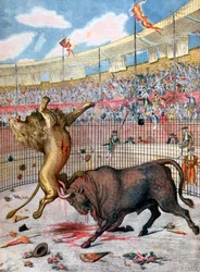 ライオンと雄牛の間の戦闘、スペイン、1894