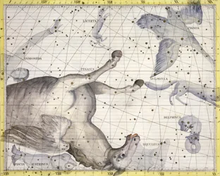 ペガサスの星座、1729年