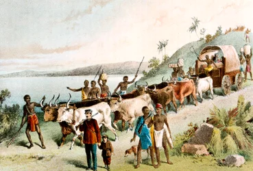 スコットランドの宣教師でアフリカ人の探検家、デビッドリビングストン、1849年c1878