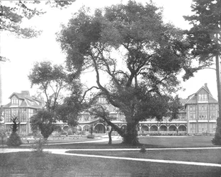 デルモンテ、モントレー、カリフォルニア、米国、c1900。