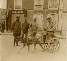 ドッグカート、フランス、c1914-c1918