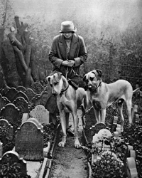 犬の墓地、ビクトリアゲート、ベイズウォーター、ロンドン、1926-1927