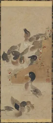 カモ 江戸時代・18世紀