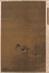 葦の下のアヒル、1400年代。