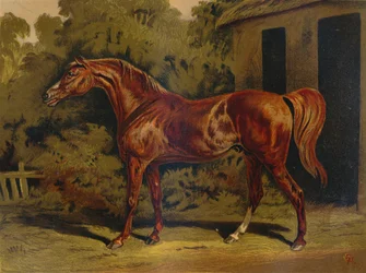 Eclipse、c1879。