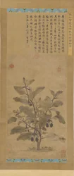 茄子、明代、1368～1644年。