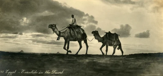 エジプト-砂漠の夕暮れ、c1918-c1939。
