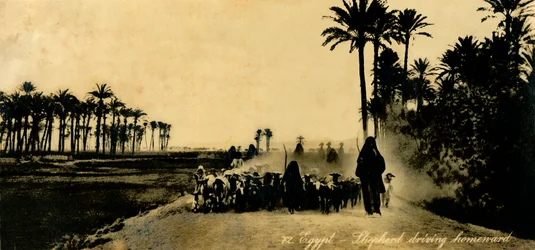 エジプト-シェパードが帰路、c1918-c1939。