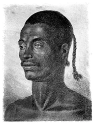 エジプトの肖像、1881