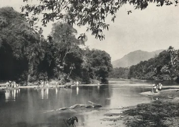 キャンディ近くのマハバリガンガの象の水浴場、1926年