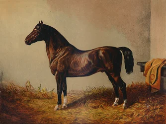 ポニーハックドンカルロス全体、c1897。