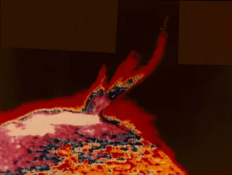 スカイラブ、1973年からの太陽フレアの偽カラー画像