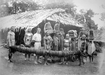 1892年にネルアのフォレストハウスに運ばれた羽毛