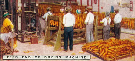 乾燥機のフィードエンド、1926