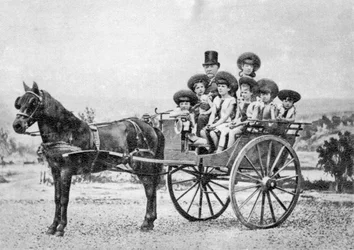 フェルディナンドドレセップス、フランスの外交官および起業家、1875