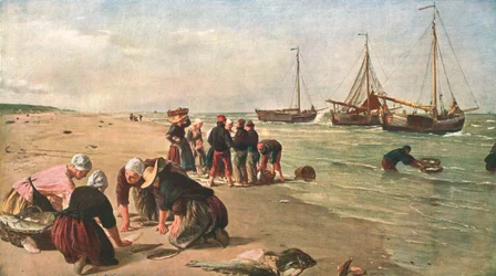 ドガーバンクの魚、オランダ、スヘフェニンゲン、1870年、c1902。