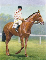 フレア、ジョッキー：RAジョーンズ、1939