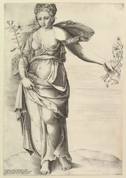 フローラ、ca。 1560-1570。