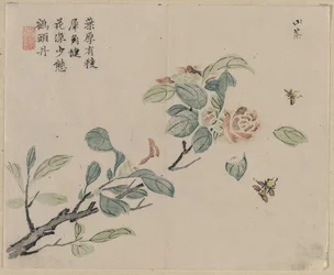 ミツバチ、18世紀の開花枝。