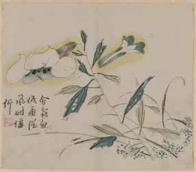 開花リリー、18世紀。