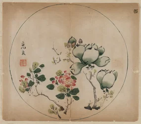 マグノリアと桃の花の開花、1368-1644。