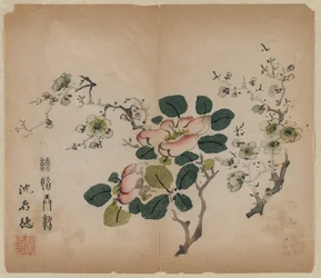 開花プルナス、1368-1644。