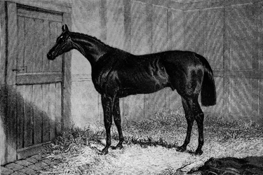 Foig-A-Ballagh、c1841-1860、1911