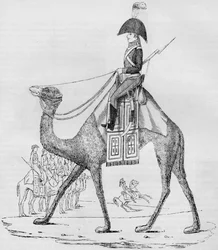 フランスのドメダリー連隊。 1884年5月、リビア砂漠の護送船で捕獲された