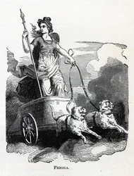 フリガ、1882