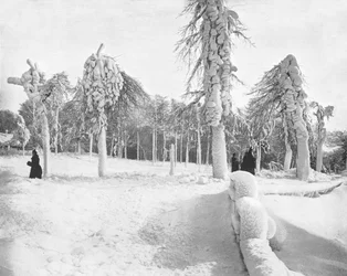 アメリカ合衆国、ナイアガラのプロスペクトパークでのフロストワーク、c1900。