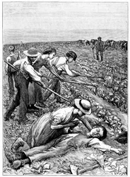 児童労働の集団制、C1885