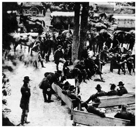 ユリシーズSグラント将軍、アメリカの兵士および政治家、c1860s 1955