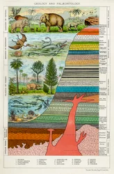 地質学と古生物学、c1880