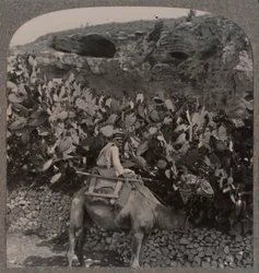 ゴルゴタ頭蓋骨の場所、c1900