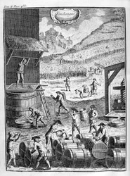 ブドウの収穫、1775
