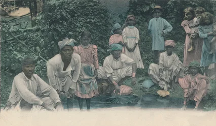 ジャマイカからのご挨拶。クーリーの洗浄、1905年。