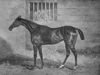 グルナーレ、19世紀、1911