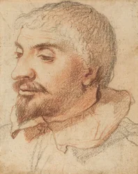 男の頭、c。 1600年。